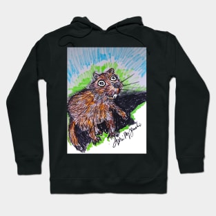 The Groundhog saw his shadow Hoodie